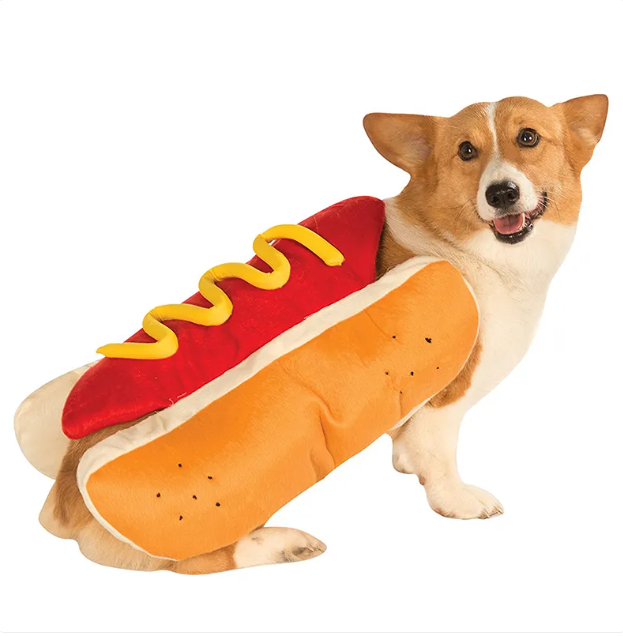 The Wiener Takes It All — Hot Dog Costume