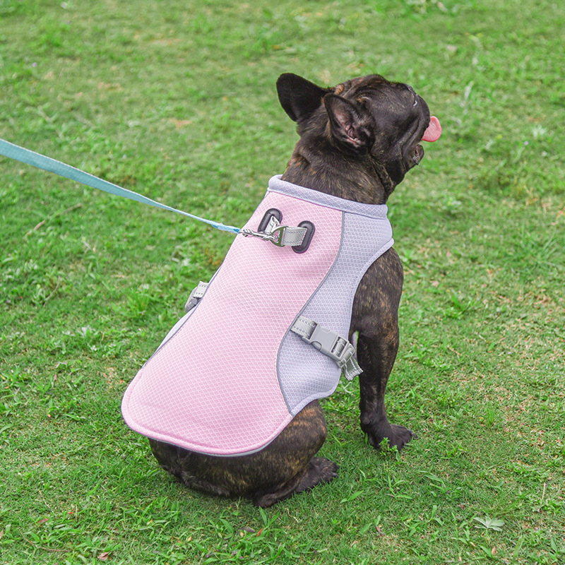 ChillVest™ Dog Cooling Vest