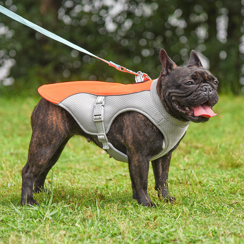 ChillVest™ Dog Cooling Vest