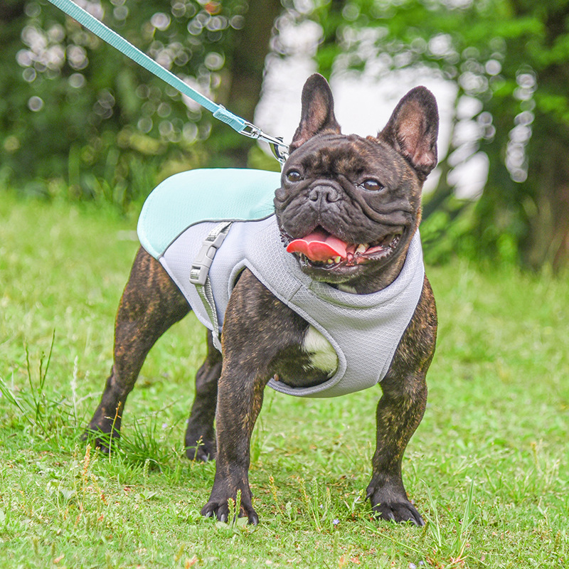 ChillVest™ Dog Cooling Vest